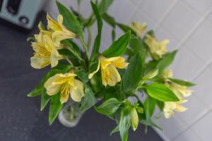 Lytham St Annes Luxury Apartment - No 3 Tides Reach