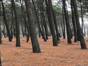 Villas Villa in Malaucene with Heated Pool : photos des chambres