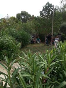 Appartements Terre & Chateauneuf : photos des chambres