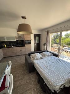 Appartements Terre & Chateauneuf : photos des chambres