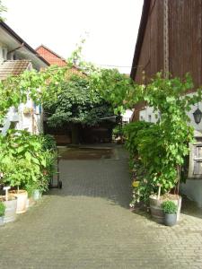 Rüedi - WeinFassHotel