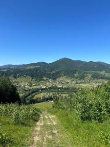 Садиба Кичера