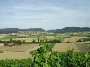 Rüedi - WeinFassHotel