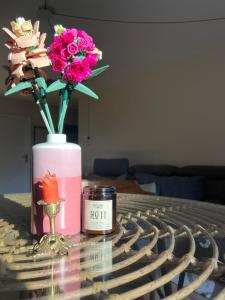 Appartements Magnifique T3 climatise, terrasse et piscine : photos des chambres
