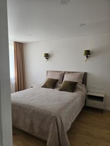 Central Stay in Šiauliai
