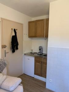 Appartements Joli Studio De 12m2 Entre Lac & Pistes De Ski : photos des chambres