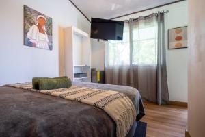 BUDDA HOME
