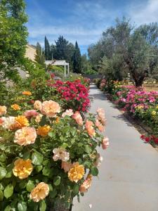 Zeituna Lodge a Porto Cesareo
