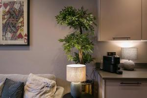 The Honourable - Bloomsbury Square By Frankie Says