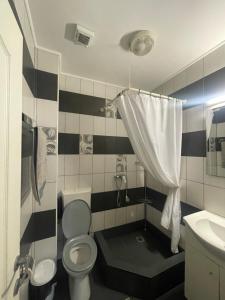 Vila Costin - camere de închiriat