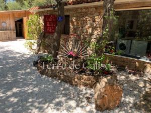 Maisons de vacances Terre de Caliso : photos des chambres