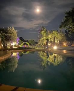 Palazzo Conforti Tree House Resort