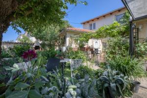 Apartments Lex - Rovinj - Istria