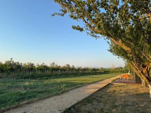 Te Vreshti - Container Home