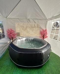 Appartements Gite des Lauriers Roses - Piscine collective, Spas et jardins prives - 7 kms de la plage de Lespecier : photos des chambres
