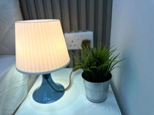 Best Solo Room in Barsha heights Tecom