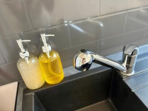 Appartements Le Colette - Parking Prive : photos des chambres