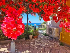 Corfu Dream Holidays Villas