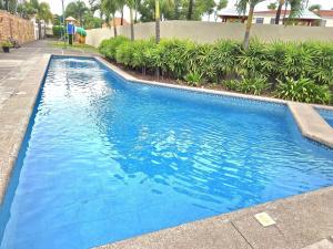 Luminoso, Moderno, Pisicina