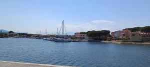 T2 avec Vue Magique sur la Marina - Wifi et Parking privé gratuits