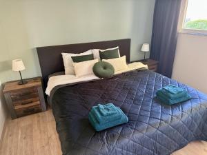 Holiday Home de Binnengouw incl Hottub