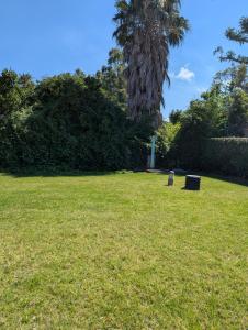 Appartements Cala Di sognu Moriani plage face a la mer : photos des chambres