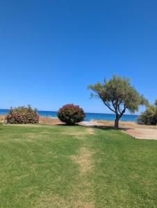 Cala Di sognu Moriani plage face à la mer
