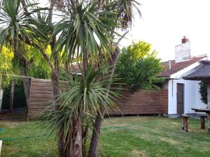 NECOCHEA DEPARTAMENTO TIPO Loft 4 PERSONAS