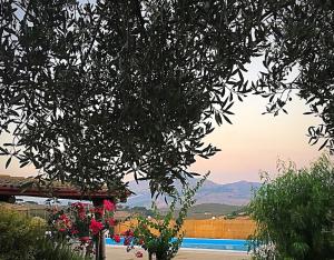 Oasi di pace tra le colline Siciliane con piscina privata
