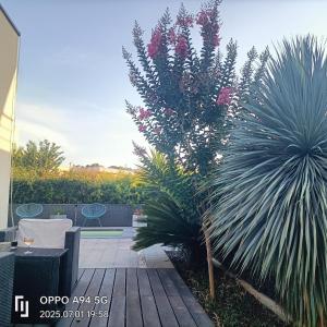 CHAMBRE COSY Adults only