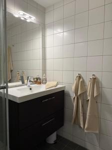 Geiloholtet central city apartment