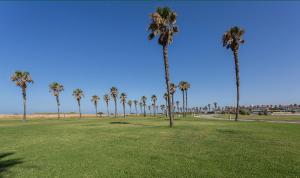 Ocean Costa Ballena - Perfect Coastal Escape