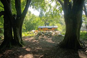 Woodcutters Cabin Authentic Log Cabin Talybont Aberystwyth SY245DW