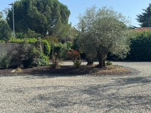 Studio béluga proche aéroport de Nantes