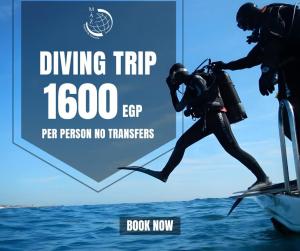 Marina Bay Elegance Room Balcony Overlooking Luxury Yachts