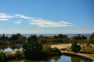 Craven Haven - Ubytování bez kategorie ve městě Nags Head