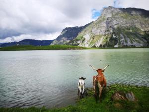 kleines Doppelzimmer mit Dusche WC