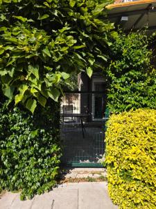 Charming apart with a big terrase and fireplace