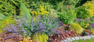 Dom Gościnny Oliwka