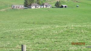 The old farm
