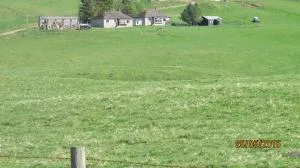 Scotland Paradise Relax Accommodation by Shooting Club Kirriemuir - Balnaboth