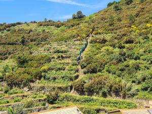 Tracastello Home House with terrace e garage