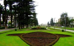 Cozy Appartement Relax