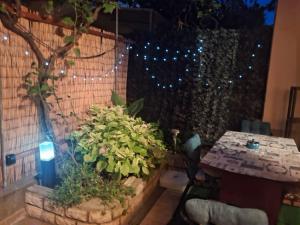 Apartment Flores centre