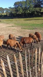 Gîte La Loge Ligeron