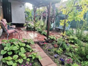 Căsuța din grădină