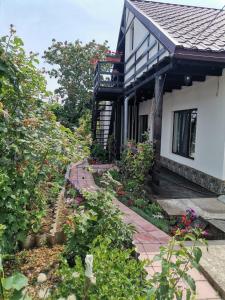 Căsuța din grădină