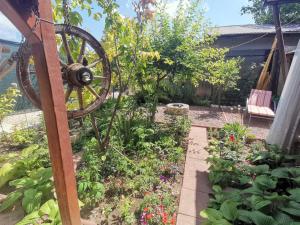 Căsuța din grădină