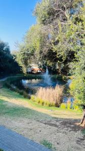 Luxury 1-Bedroom Apartment in Fourways-Sandton with FREE Gym, swimming Pool and Restaurant