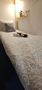 Blue Mango Surf House Center